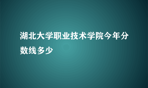 湖北大学职业技术学院今年分数线多少