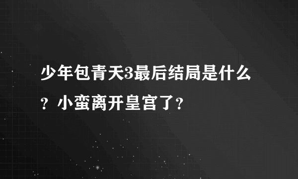 少年包青天3最后结局是什么？小蛮离开皇宫了？