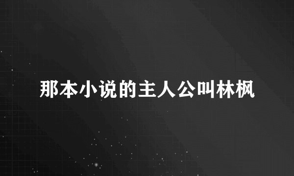 那本小说的主人公叫林枫