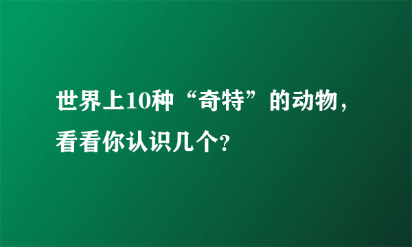 世界上10种“奇特”的动物，看看你认识几个？