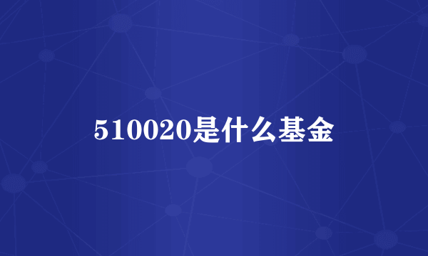 510020是什么基金