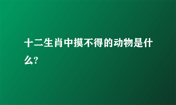 十二生肖中摸不得的动物是什么?