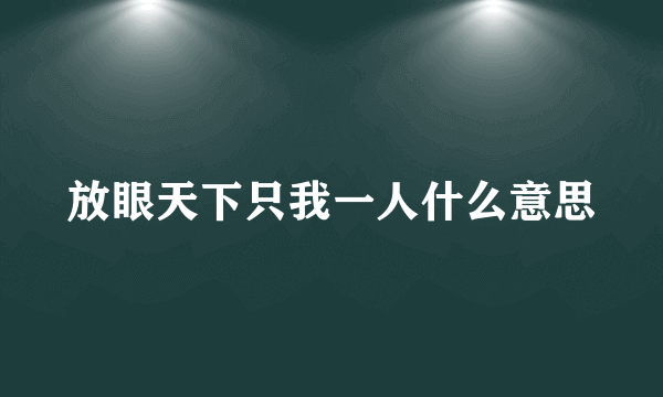 放眼天下只我一人什么意思