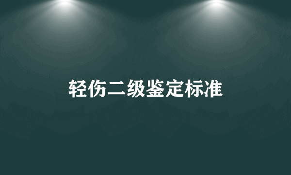 轻伤二级鉴定标准