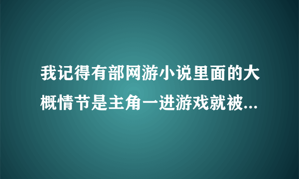 我记得有部网游小说里面的大概情节是主角一进游戏就被困在了一个村子（里面的NPC全是很NB的存在）