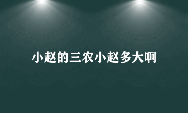 小赵的三农小赵多大啊