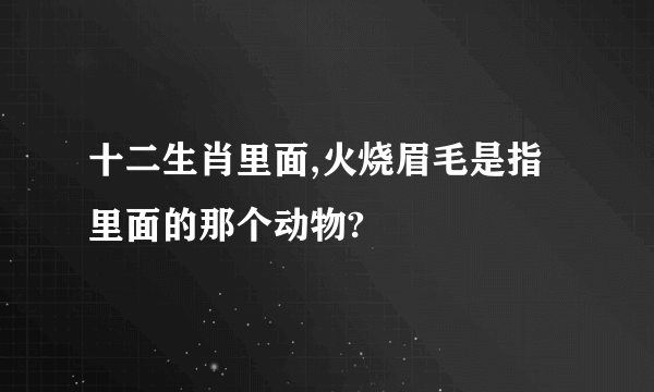 十二生肖里面,火烧眉毛是指里面的那个动物?