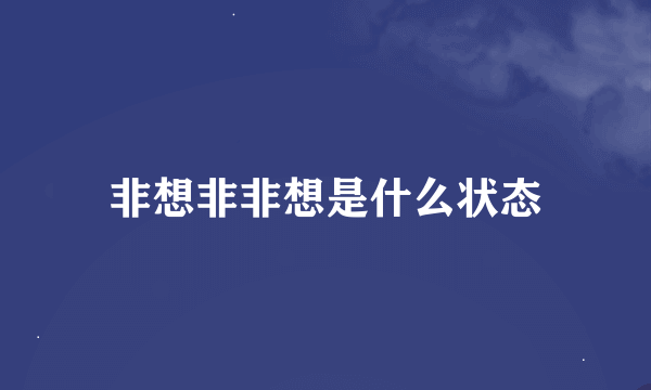 非想非非想是什么状态