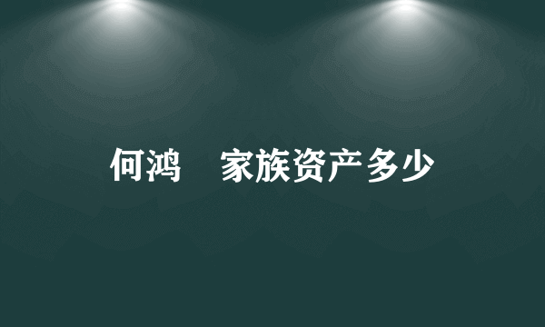 何鸿燊家族资产多少