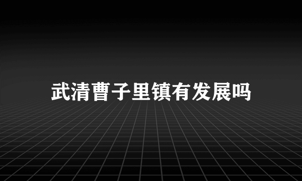 武清曹子里镇有发展吗