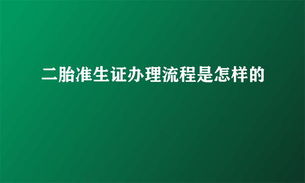 二胎准生证办理流程是怎样的