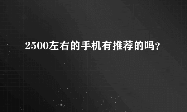 2500左右的手机有推荐的吗？