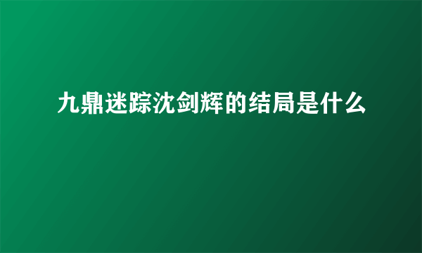 九鼎迷踪沈剑辉的结局是什么