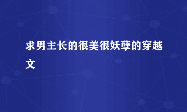 求男主长的很美很妖孽的穿越文