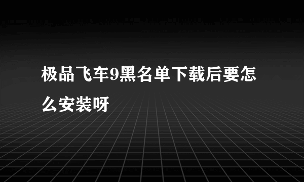 极品飞车9黑名单下载后要怎么安装呀