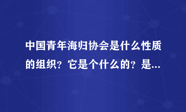 中国青年海归协会是什么性质的组织？它是个什么的？是否是平台组织？