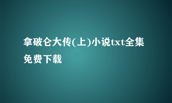 拿破仑大传(上)小说txt全集免费下载