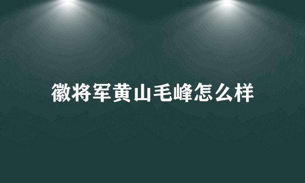 徽将军黄山毛峰怎么样