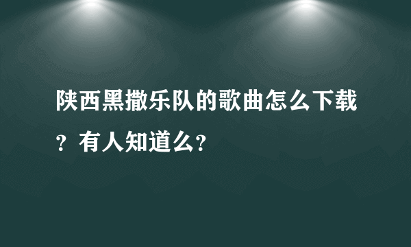 陕西黑撒乐队的歌曲怎么下载？有人知道么？