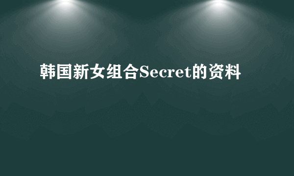 韩国新女组合Secret的资料