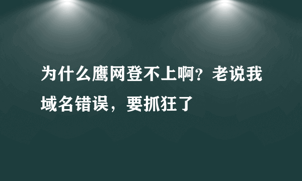 为什么鹰网登不上啊？老说我域名错误，要抓狂了