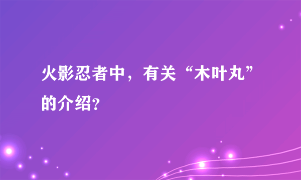 火影忍者中，有关“木叶丸”的介绍？