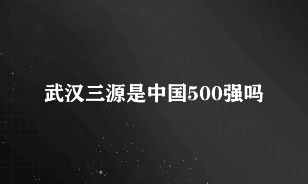 武汉三源是中国500强吗