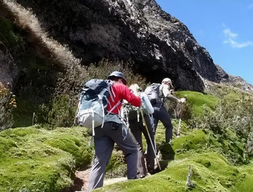 福建一男子全裸登山，此男子为何会这么做？