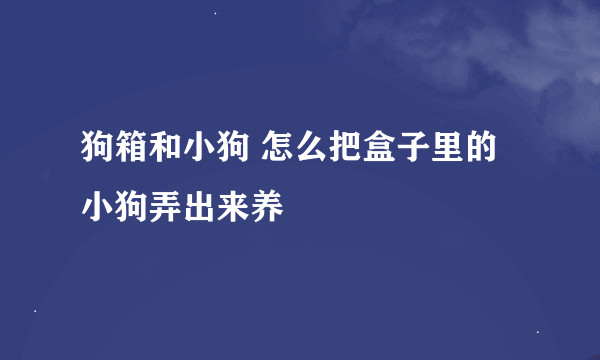 狗箱和小狗 怎么把盒子里的小狗弄出来养