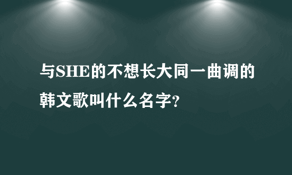 与SHE的不想长大同一曲调的韩文歌叫什么名字？