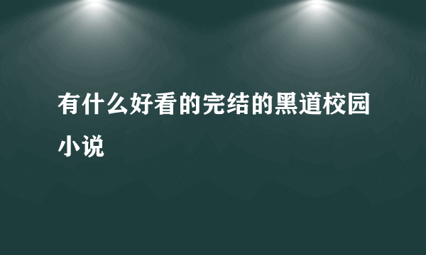 有什么好看的完结的黑道校园小说