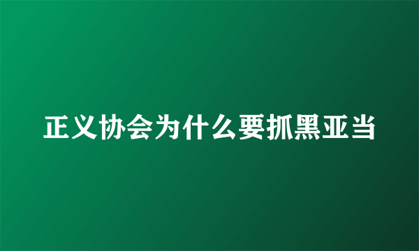 正义协会为什么要抓黑亚当