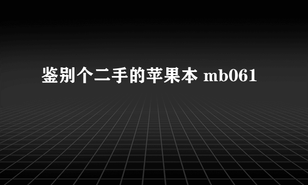 鉴别个二手的苹果本 mb061