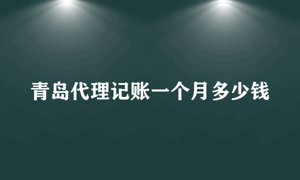 青岛代理记账一个月多少钱