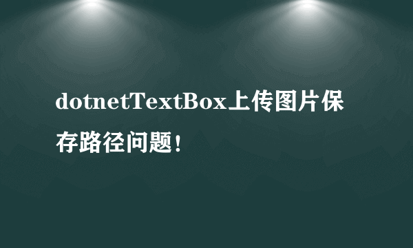 dotnetTextBox上传图片保存路径问题！