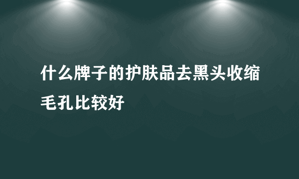 什么牌子的护肤品去黑头收缩毛孔比较好