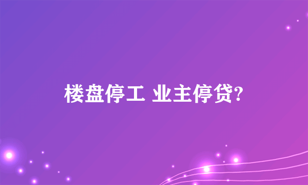 楼盘停工 业主停贷?