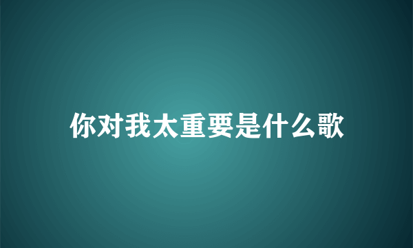 你对我太重要是什么歌