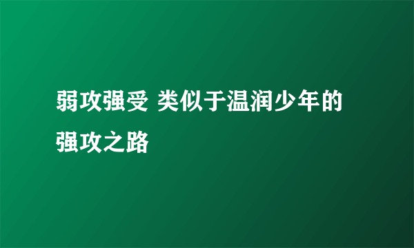 弱攻强受 类似于温润少年的强攻之路