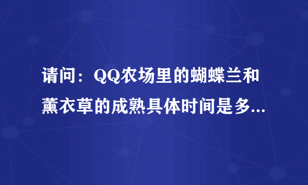 请问：QQ农场里的蝴蝶兰和薰衣草的成熟具体时间是多少？分别是多少季的？