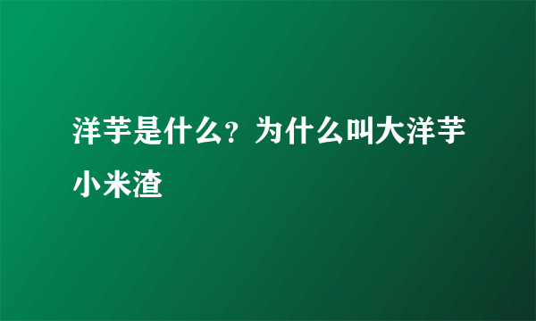 洋芋是什么？为什么叫大洋芋小米渣