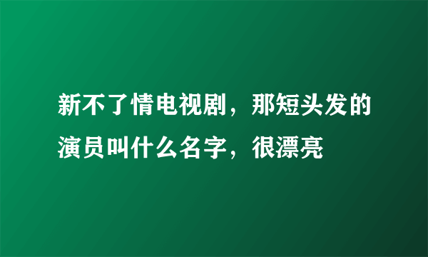 新不了情电视剧，那短头发的演员叫什么名字，很漂亮