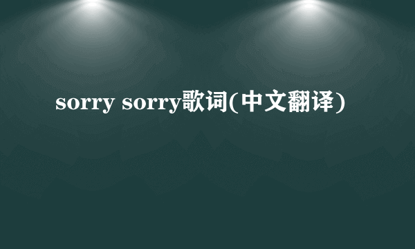 sorry sorry歌词(中文翻译)