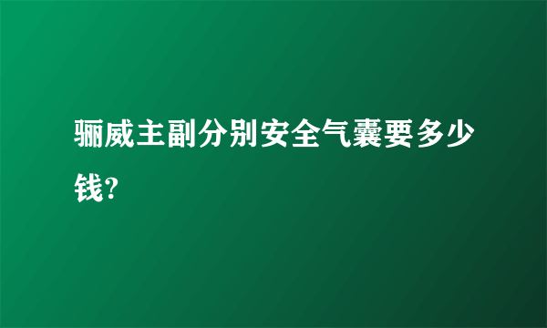 骊威主副分别安全气囊要多少钱?