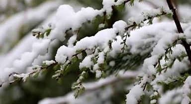 黑龙江漠河市五月迎飞雪，这种天气是因何形成的？