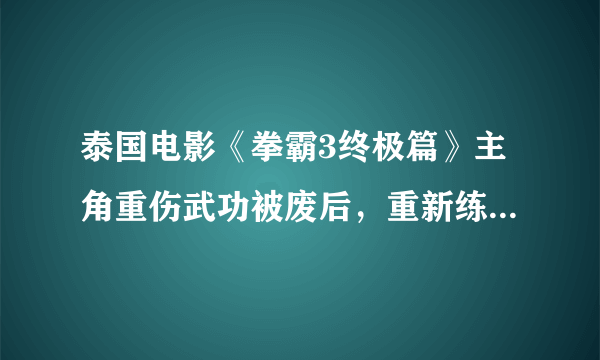 泰国电影《拳霸3终极篇》主角重伤武功被废后，重新练的是什么拳法？看上去似拳法非拳法，似掌法非掌法，