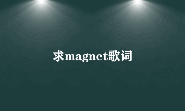 求magnet歌词