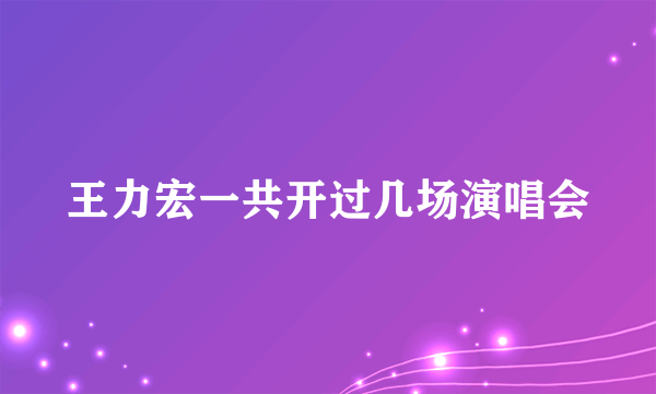 王力宏一共开过几场演唱会