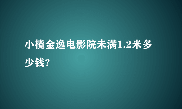 小榄金逸电影院未满1.2米多少钱?