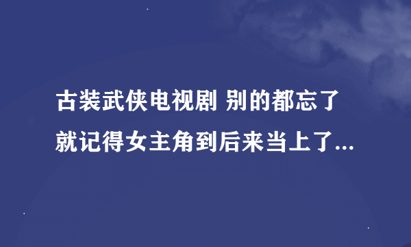 古装武侠电视剧 别的都忘了就记得女主角到后来当上了武林盟主